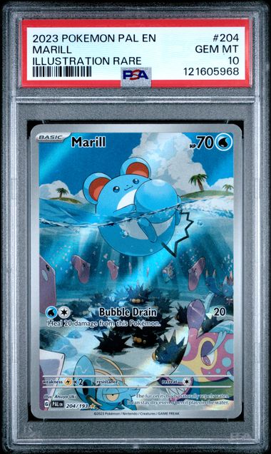 Pokémon Paldea Evolved 2023 #204 Marill Illustration Rare PSA 10 Gem Mint