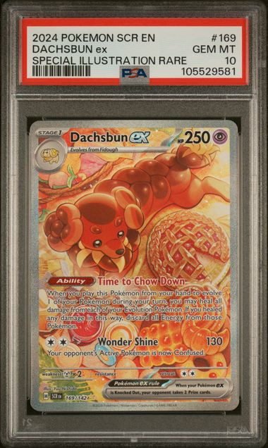 PSA 10 - 2024 POKEMON SCR EN-STELLAR CROWN #169 DACHSBUN ex SPECIAL ILLUSTRATION RARE