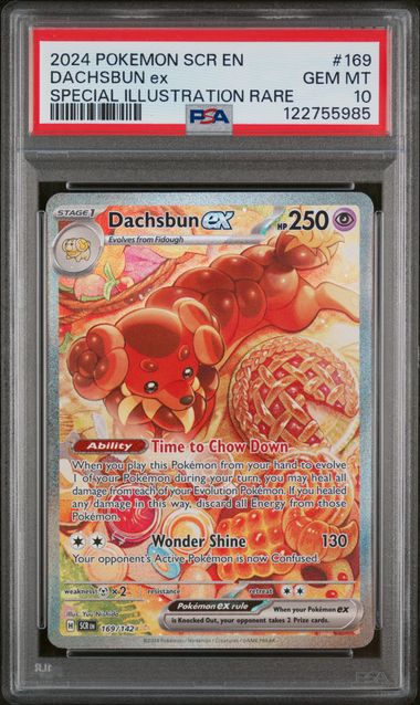 PSA 10 - 2024 POKEMON SCR EN-STELLAR CROWN #169 DACHSBUN ex SPECIAL ILLUSTRATION RARE