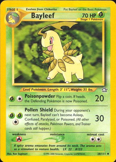 Bayleef (28)