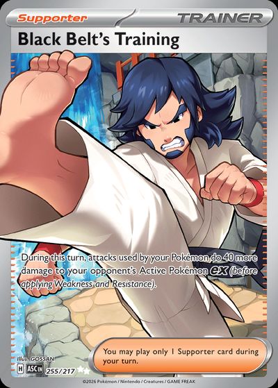 Black Belt's Training