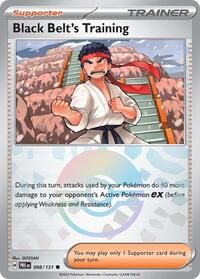 Black Belt's Training (Poke Ball Pattern)