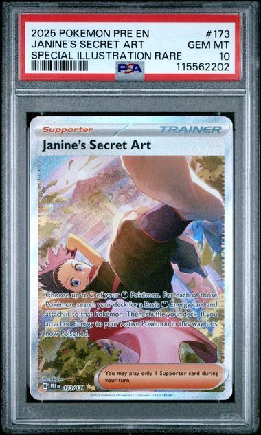 Janine's Secret Art