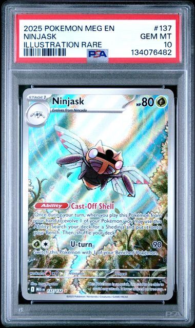 Ninjask