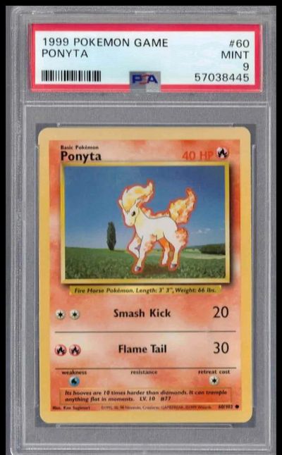 Ponyta