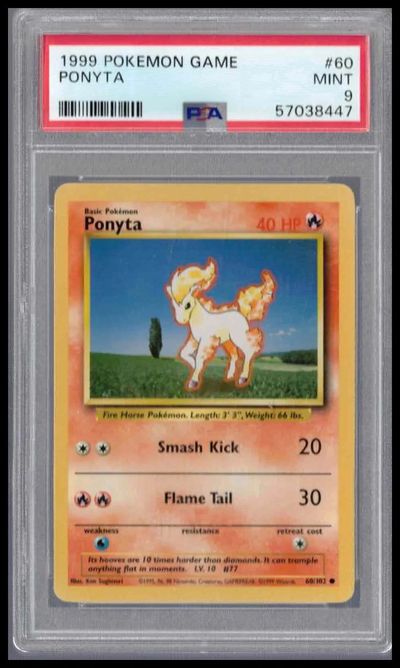 Ponyta